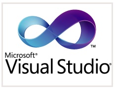 vs2010